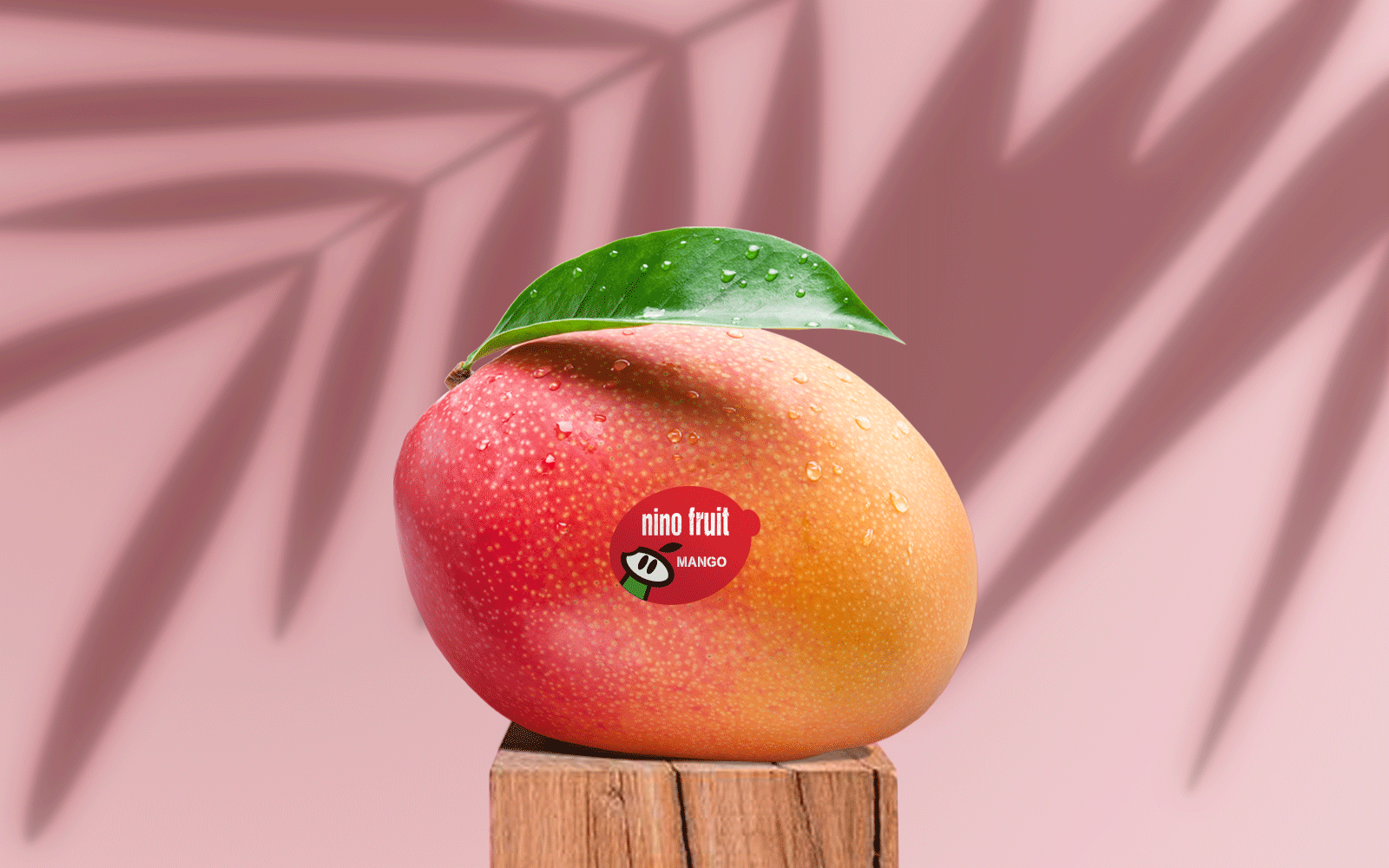bob agency - Nino Fruit by Interweichert - Branding & Packaging